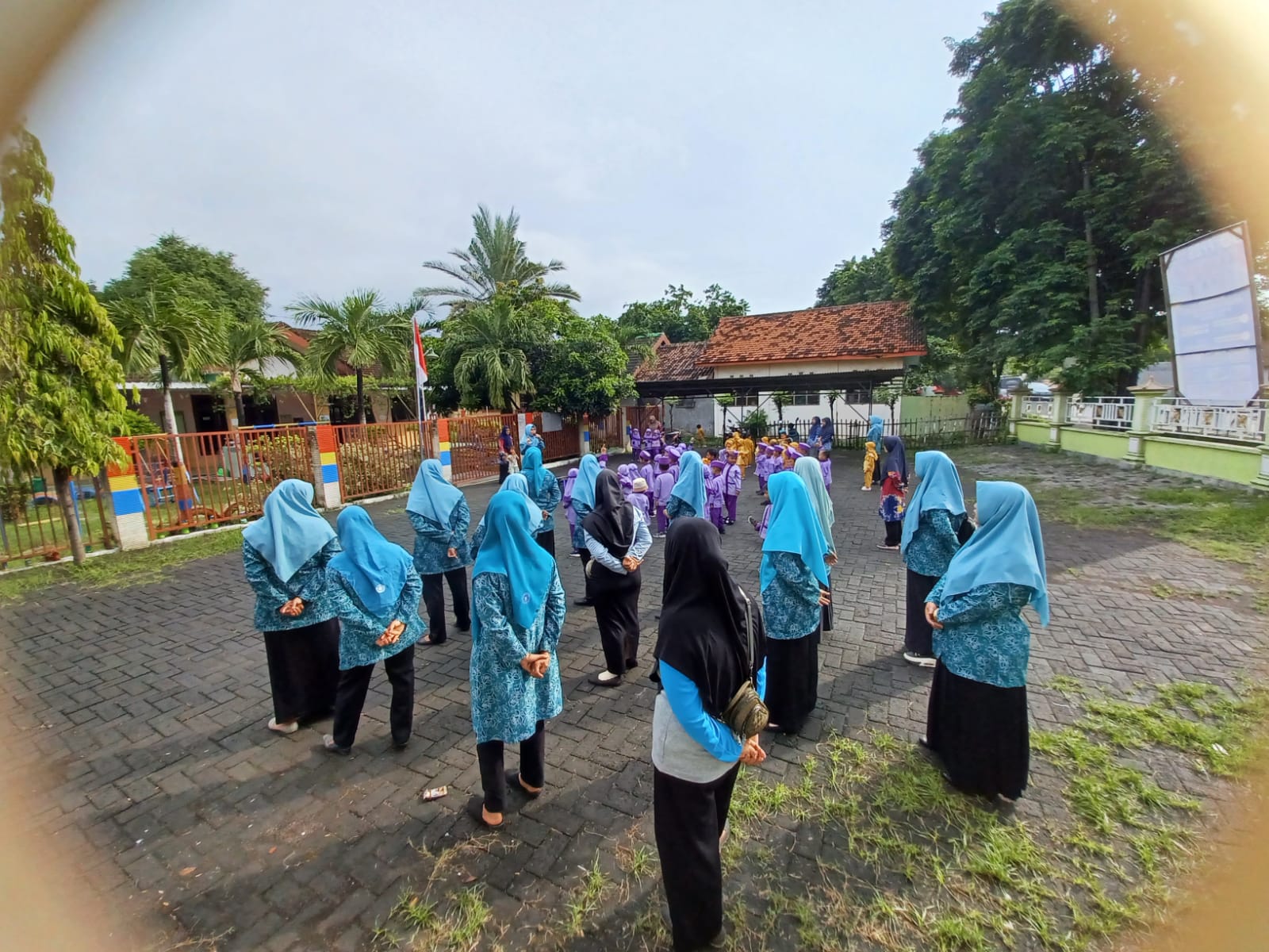 profile